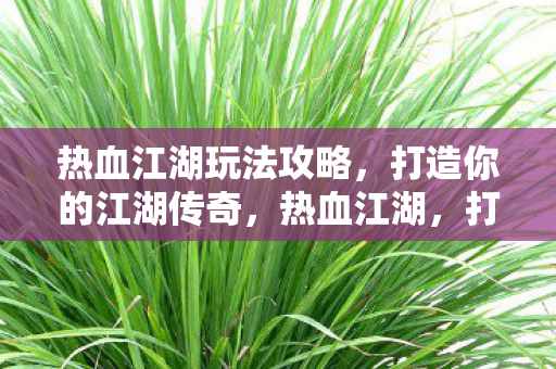 热血江湖玩法攻略，打造你的江湖传奇，热血江湖，打造你的江湖传奇玩法攻略