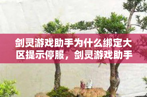 剑灵游戏助手绑定大区遭遇停服问题解析图片
