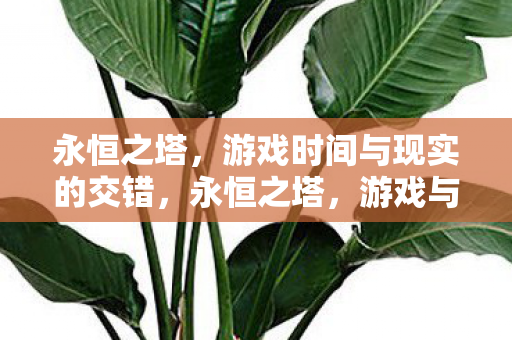 游戏时间与现实的交错图片