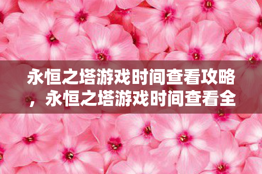 永恒之塔游戏时间查看全攻略图片