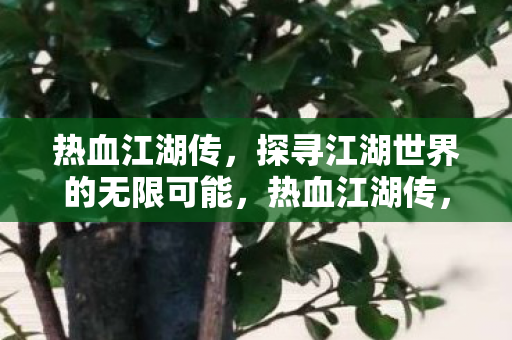 热血江湖传,探寻江湖世界的无限可能,热血江湖传,探寻江湖世界的无限可能 热血江湖传,探寻江湖世界的无限可能,热血江湖传,探寻江湖世界的无限可能