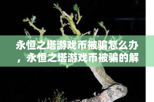 永恒之塔游戏币被骗的解决方法图片