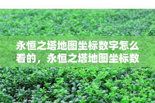 永恒之塔地图坐标数字怎么看的图片