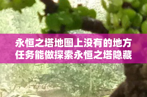 永恒之塔地图上没有的地方任务能做探索永恒之塔隐藏任务图片