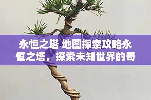 永恒之塔 地图探索攻略永恒之塔图片