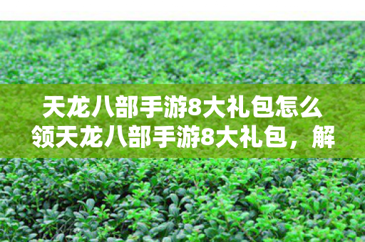 天龙八部手游8大礼包怎么领天龙八部手游8大礼包图片