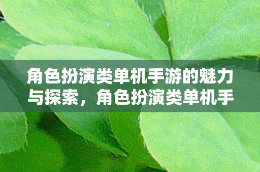角色扮演类单机手游的魅力与探索图片