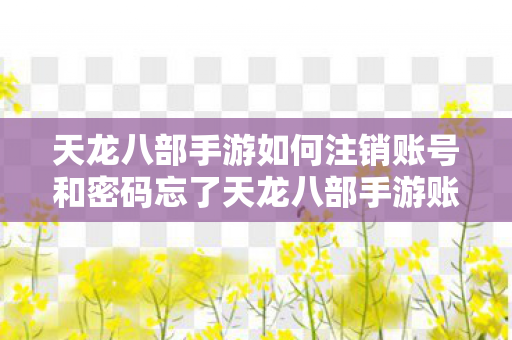 天龙八部手游如何注销账号和密码忘了天龙八部手游账号注销全攻略图片