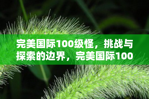 完美国际100级怪图片