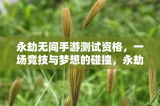 永劫无间手游测试资格图片