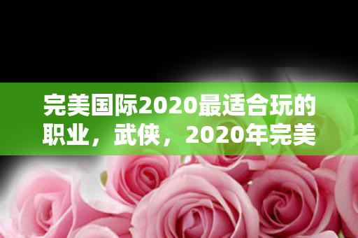 2020年完美国际最适合玩的职业图片