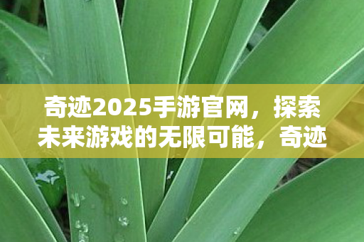 探索未来游戏的无限可能图片