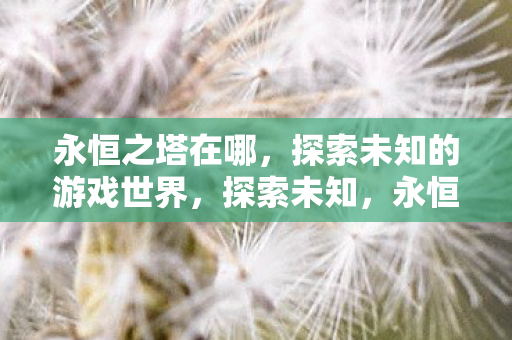 永恒之塔的游戏世界揭秘图片