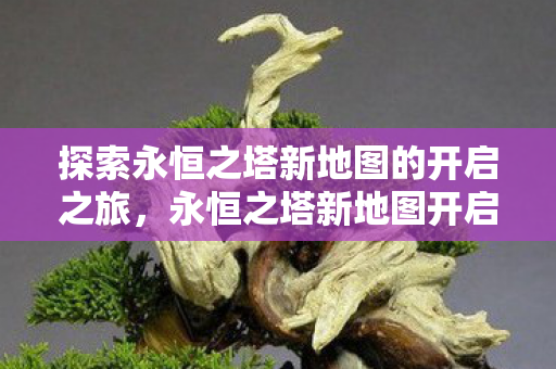 探索永恒之塔新地图的开启之旅图片