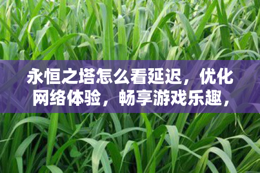 永恒之塔优化网络体验图片