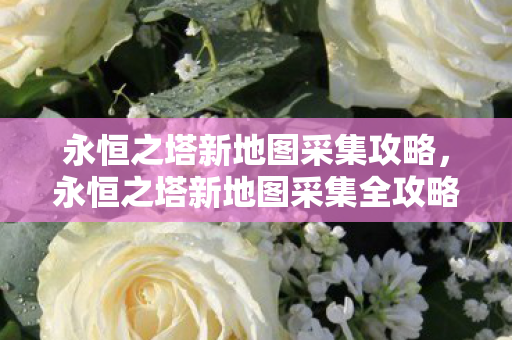 永恒之塔新地图采集全攻略图片