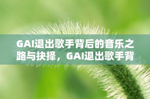 GAI退出歌手背后的音乐之路与抉择图片