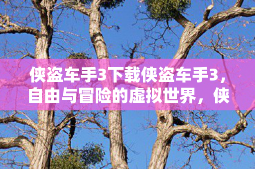 侠盗车手3下载侠盗车手3，自由与冒险的虚拟世界，侠盗车手3，自由冒险的虚拟世界等你来下载