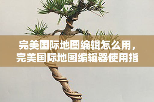 完美国际地图编辑器使用指南图片
