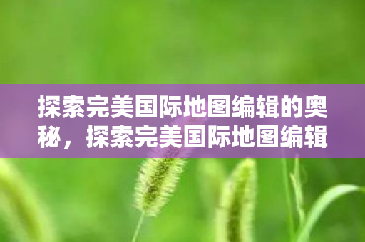 探索完美国际地图编辑的奥秘图片
