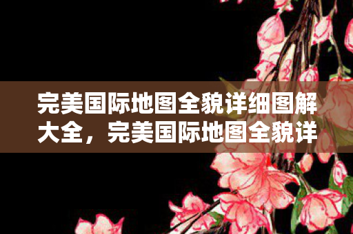 完美国际地图全貌详细图解大全图片