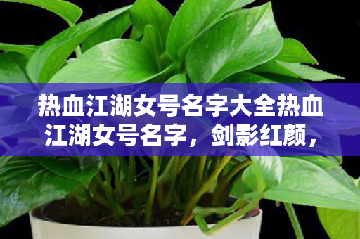 热血江湖女号名字大全热血江湖女号名字图片
