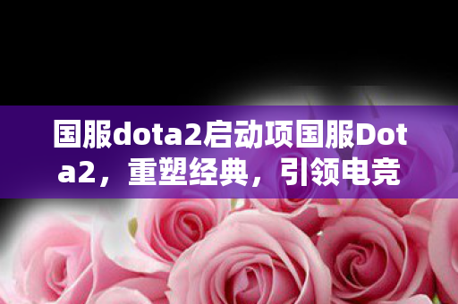 国服dota2启动项国服Dota2图片