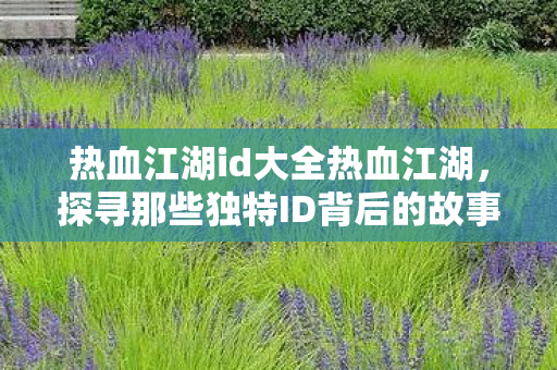 探寻那些独特ID背后的故事图片