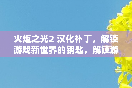 火炬之光2 汉化补丁图片