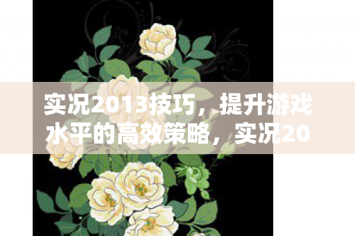 实况2013高效提升游戏水平策略图片