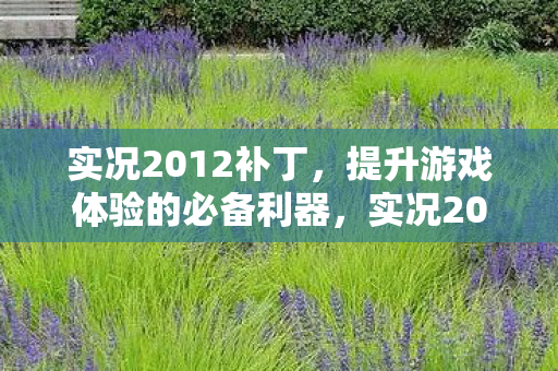 提升游戏体验的必备利器图片