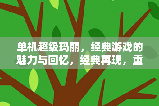 重温单机超级玛丽的魅力与回忆图片