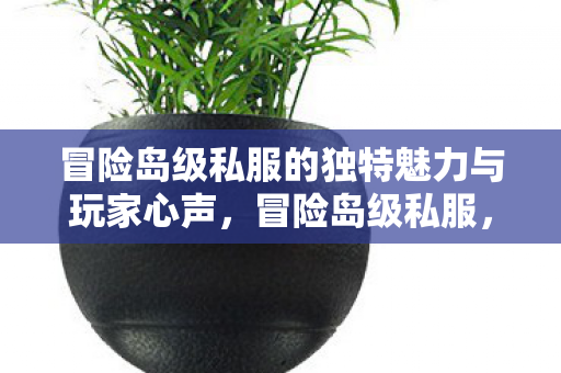冒险岛级私服的独特魅力与玩家心声图片