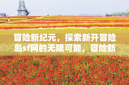 探索新开冒险岛sf网的无限可能图片