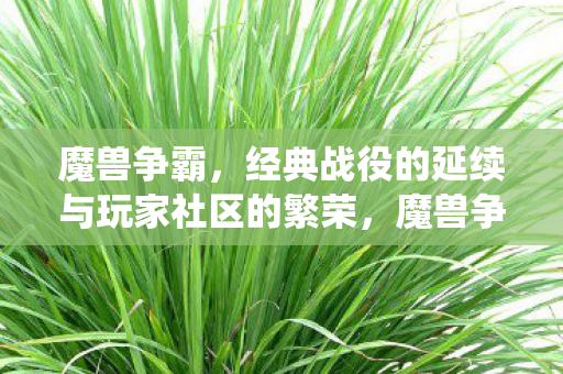 经典战役的延续与玩家社区的繁荣图片