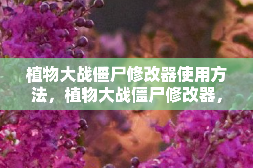 植物大战僵尸修改器使用方法图片