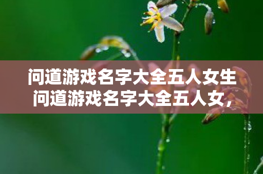 问道游戏名字大全五人女生问道游戏名字大全五人女，五人女生专属！创意问道游戏名字大全