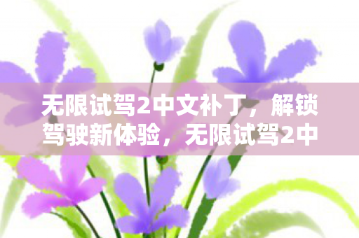 无限试驾2中文补丁图片
