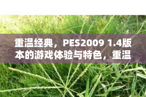 4版本的游戏体验与特色图片