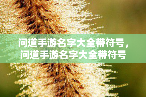 问道手游名字大全带符号，问道手游名字大全带符号