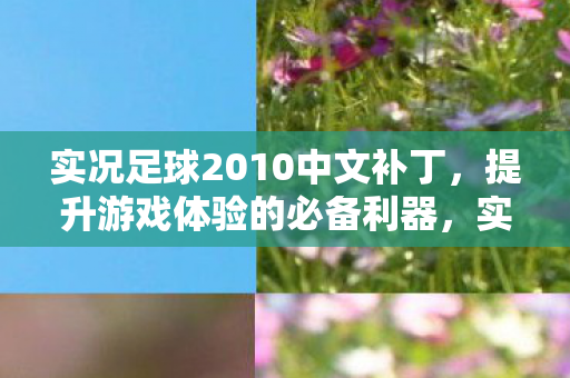 实况足球2010中文补丁图片