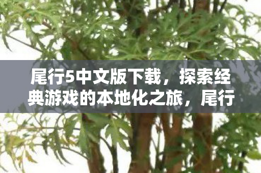 探索经典游戏的本地化之旅图片