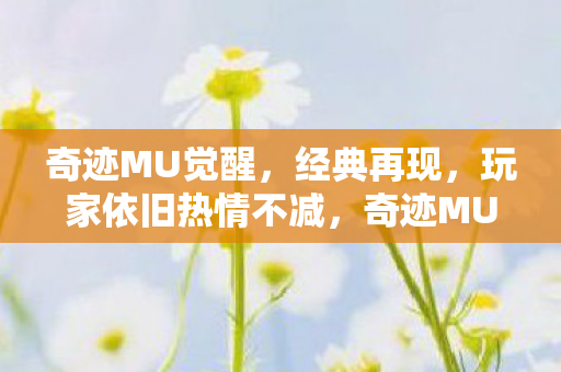 玩家依旧热情不减图片