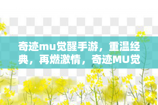 奇迹mu觉醒手游图片
