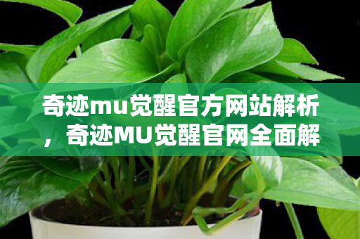 奇迹mu觉醒官方网站解析图片