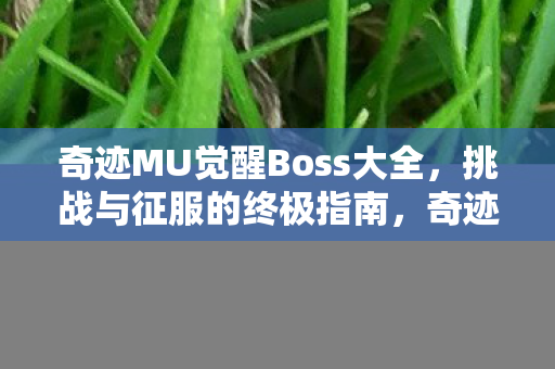 奇迹MU觉醒Boss全攻略图片