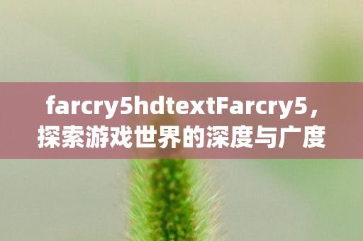 farcry5hdtextFarcry5图片