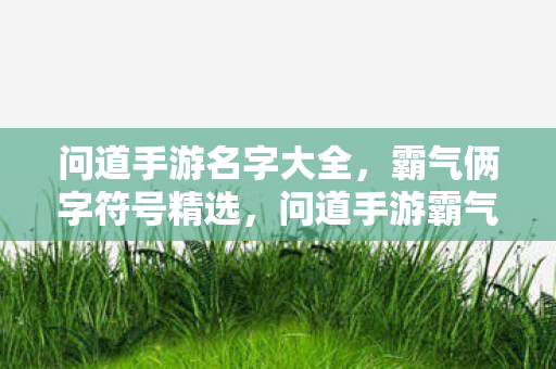问道手游名字大全，霸气俩字符号精选，问道手游霸气俩字符号名字大全