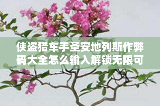侠盗猎车手圣安地列斯作弊码大全怎么输入解锁无限可能图片