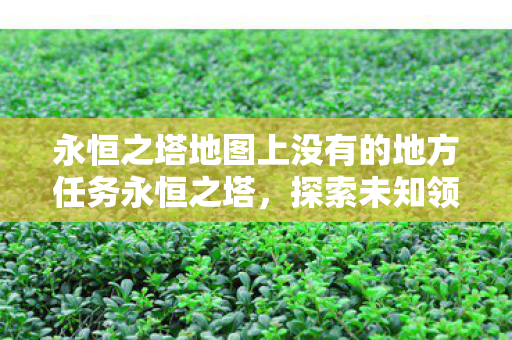 永恒之塔地图上没有的地方任务永恒之塔图片
